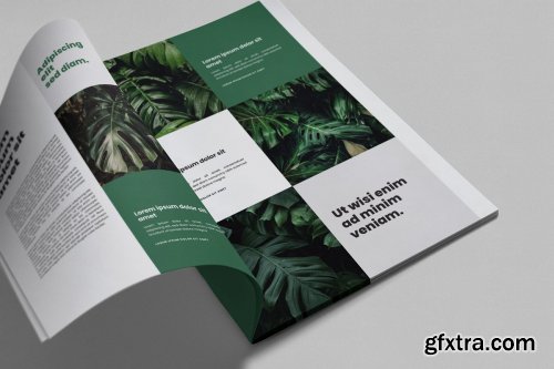 CreativeMarket - Brochure Magazine Mockups 4589122