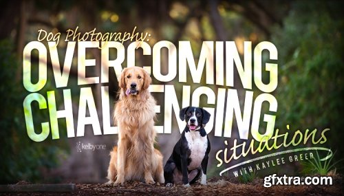 KelbyOne - Dog Photography: Overcoming Challenging Situations