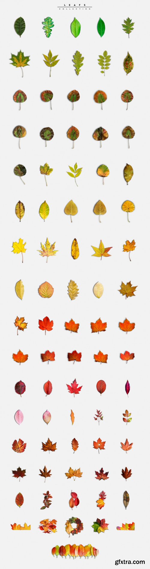 CreativeMarket - Autumn Scene Creator #01 4276129