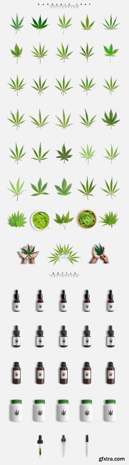 CreativeMarket - Cannabis Scene Creator #01 4397748