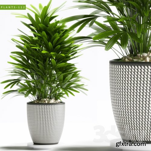 Plants-122 3d model