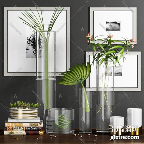 Plants Decorative Set