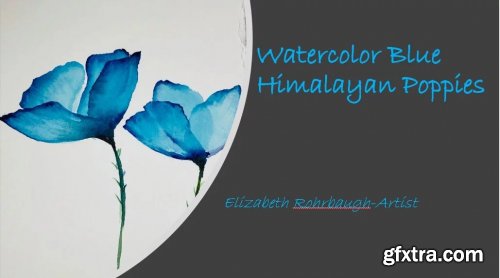  Watercolor Blue Himalayan Poppies
