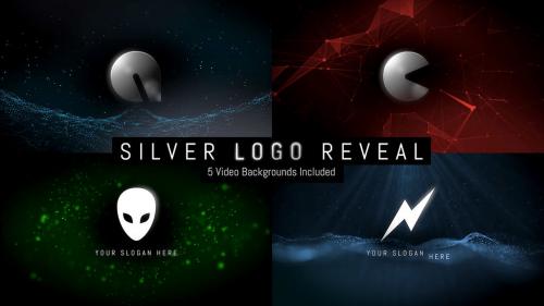 Silver Logo Reveal - 11867098