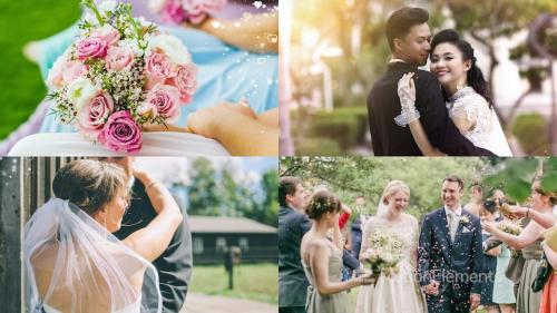 Wedding Transitions - 11526441