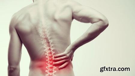 Back pain - Physiotherapy, Yoga and a Full understanding