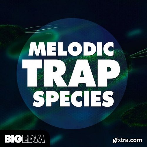 Big EDM Melodic Trap Species WAV MIDi PRESETS