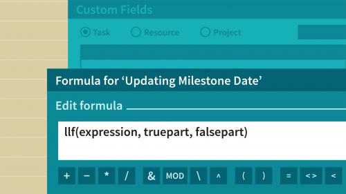 Lynda - Working with Custom Fields and Formulas in Microsoft Project - 555800