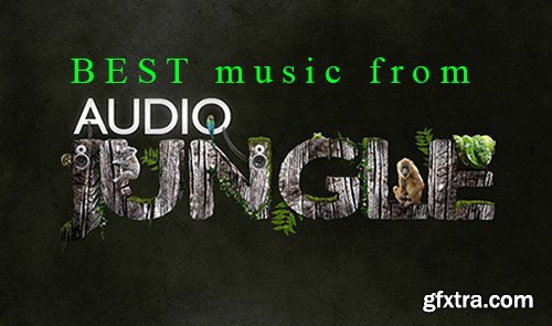 AudioJungle - Acoustic & Strings 5847222 