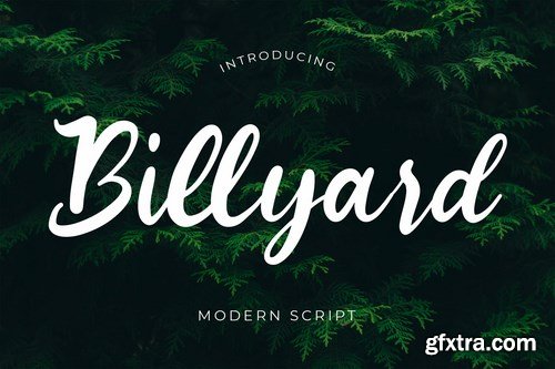 Billyard Modern Script Font