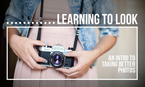 SkillShare - Learning To Look: An Intro to Taking Better Photos - 1913798907