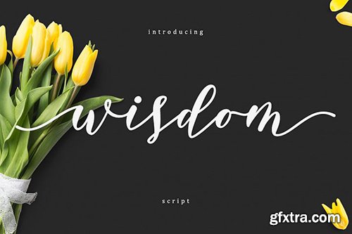 Wisdom Script Font