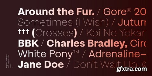 Magazine Grotesque Font Family