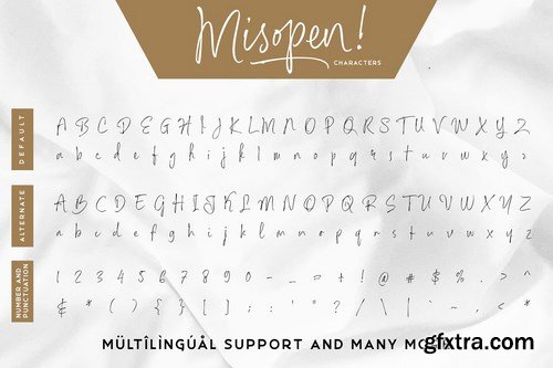 CM - Misopen + Bonus 2 Font 4409791