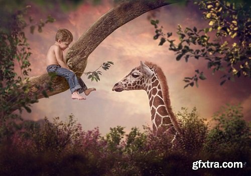 Tara Lesher Education - Compositing Tutorials - Feeding Time