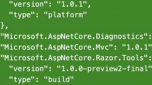 Learning .NET Programming