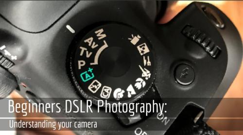 SkillShare - Beginners DSLR Photography: Understanding Your Camera - 1819971894