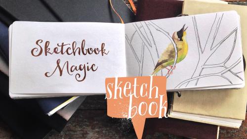 SkillShare - Sketchbook Magic I: Start and Feed a Daily Art Practice - 1314048759