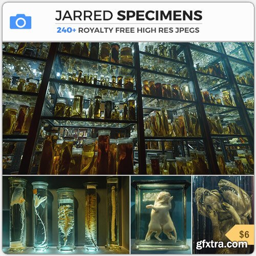 PhotoBash - JARRED SPECIMENS