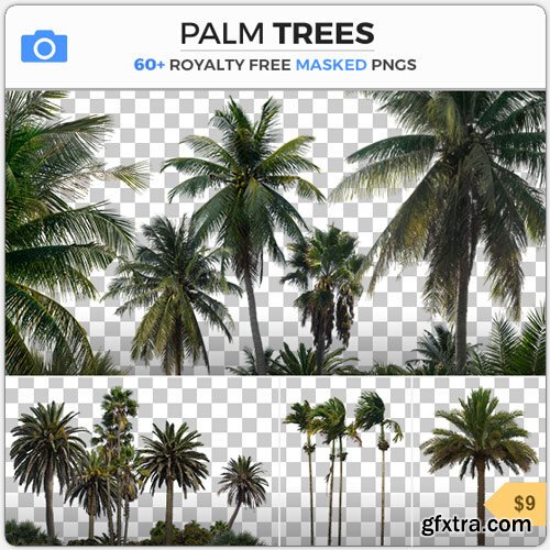 PhotoBash - PALM TREES