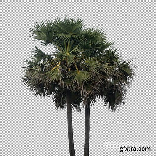 PhotoBash - PALM TREES