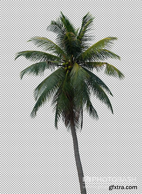 PhotoBash - PALM TREES