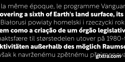 Rotunda Font Family