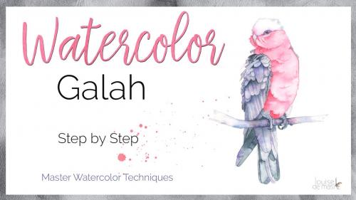 SkillShare - Master Watercolour Techniques: Learn to Paint a Galah in Watercolour - 1521132853