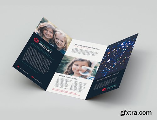 Tri-Fold Brochure Mockup 221888981