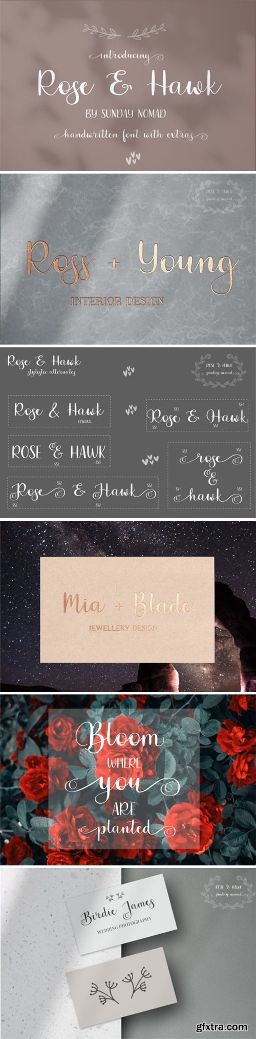 Rose & Hawk Font