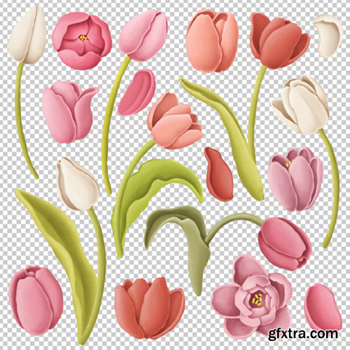 tulip-flowers_147671-96