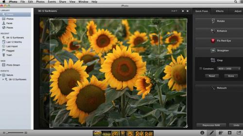 Lynda - Using iPhoto and Aperture Together - 114010