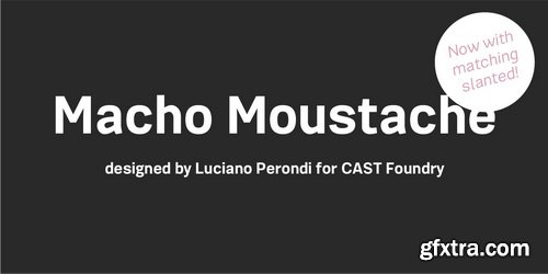 Macho Moustache Font Family