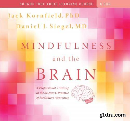 Mindfulness and the Brain: A Professional Training in the Science and Practice of Meditative Awareness (Audiobook)