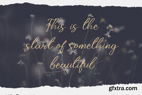 Zarkafi - The Beauty Script Font