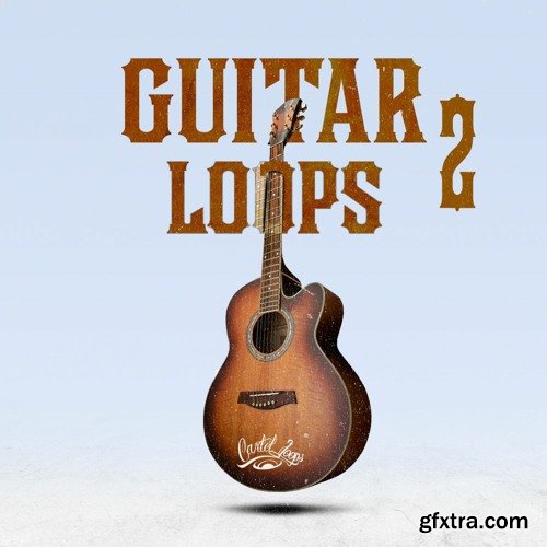 Cartel Loops Guitar Loops Vol 2 WAV