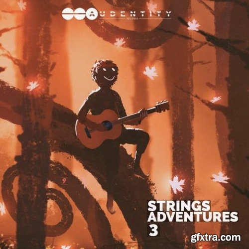 Audentity Records Strings Adventures Vol 3 (Live Guitars Sample Pack) WAV