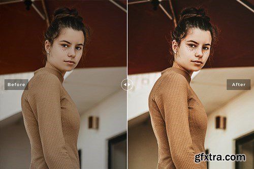 Laconic Mobile & Desktop Lightroom Presets