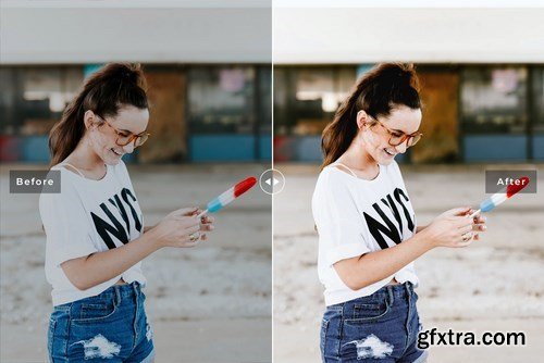 Laconic Mobile & Desktop Lightroom Presets