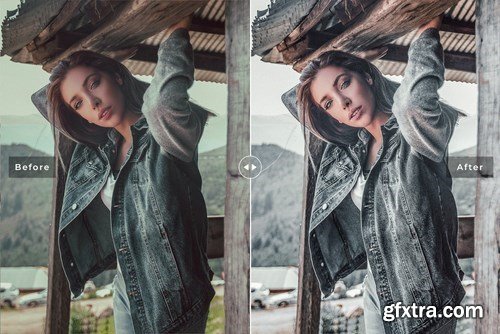 Ash Tone Mobile & Desktop Lightroom Presets