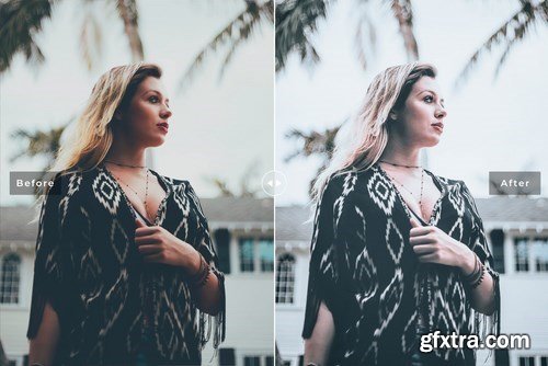 Ash Tone Mobile & Desktop Lightroom Presets