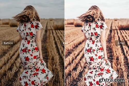 Harvest Mobile & Desktop Lightroom Presets