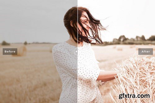 Harvest Mobile & Desktop Lightroom Presets