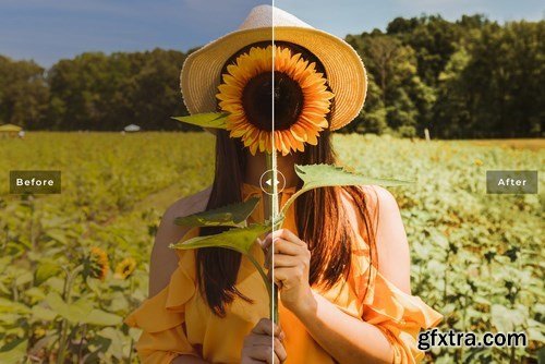 Sunflower Mobile & Desktop Lightroom Presets