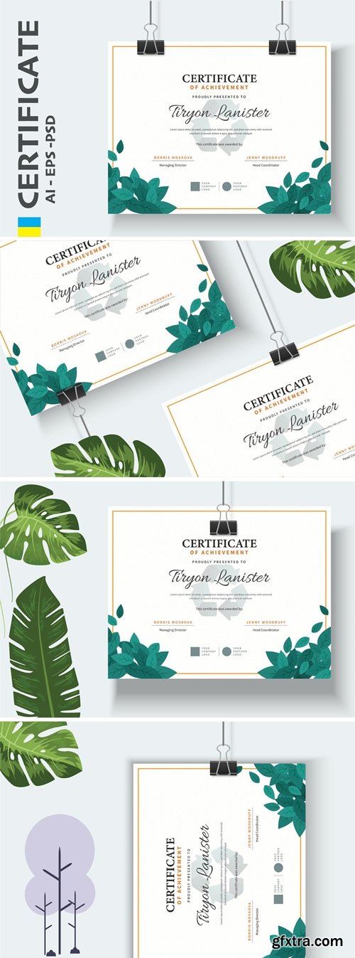 Professional Nature Certificate / Diploma Template