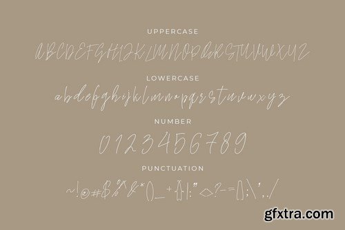 Business CardSamuel Zevanni Font