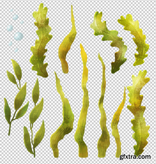 seaweed-cartoon-clipart-collection_147671-62