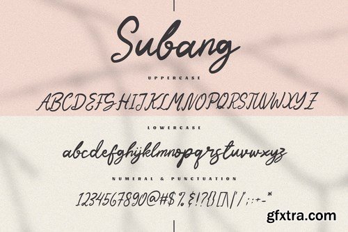 Subang - The Casual Script