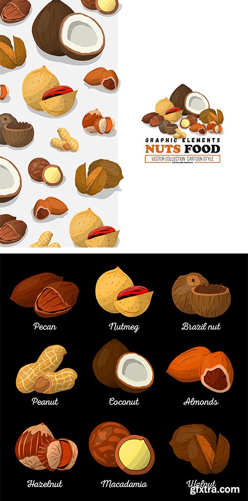 Nuts Seeds Vector Set