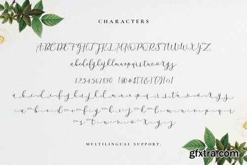 Beatisia Script